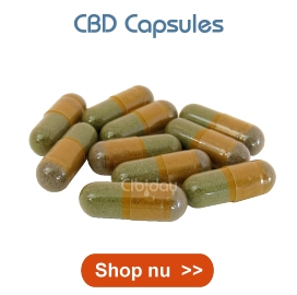 CBD Capsules CBD Capsules