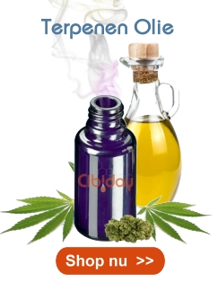 Terpenen Olie Terpenen Olie